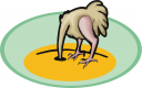 Ostrich Clipart