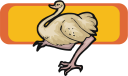 Ostrich Clipart