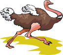 Ostrich Clipart