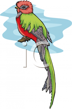 Bird Clipart