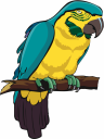 Parrot Clipart