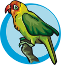 Parrot Clipart