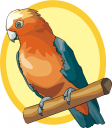 Parrot Clipart