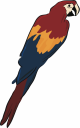 Parrot Clipart