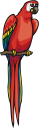 Parrot Clipart