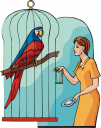 Parrot Clipart