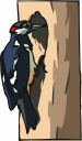 Bird Clipart