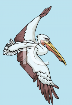 Bird Clipart