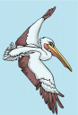 Bird Clipart