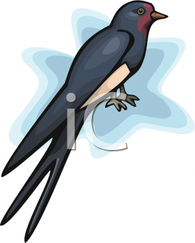 Bird Clipart