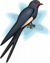 Bird Clipart