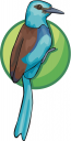 Bird Clipart