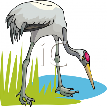 Crane Clipart