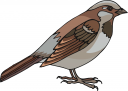 Bird Clipart