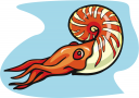 Squid Clipart