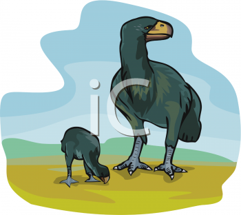 Bird Clipart