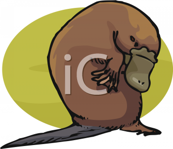 Platypus Clipart