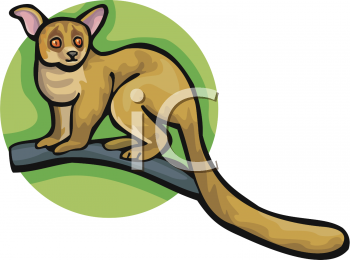 Lemur Clipart