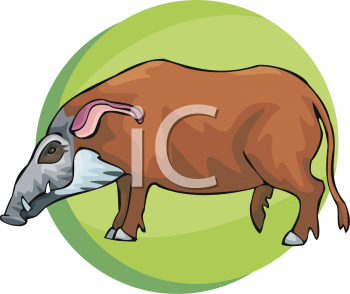 Pig Clipart