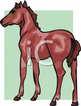 Colt Clipart