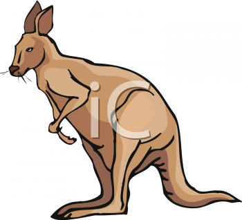 Kangaroo Clipart