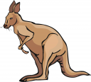 Kangaroo Clipart