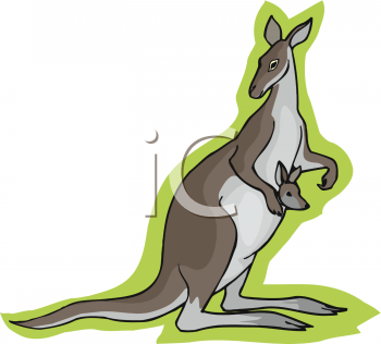 Kangaroo Clipart