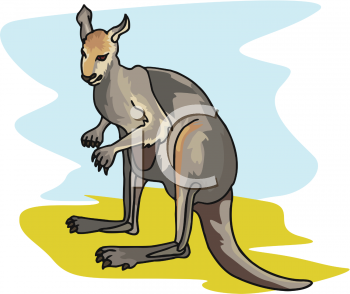 Kangaroo Clipart