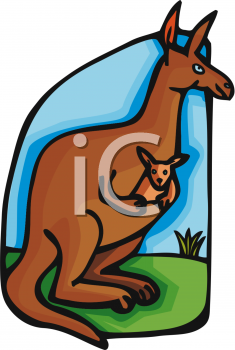 Kangaroo Clipart