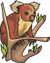 Koala Clipart