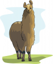 Llama Clipart