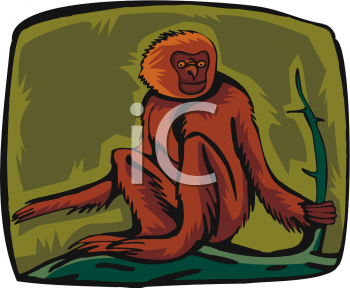 Monkey Clipart