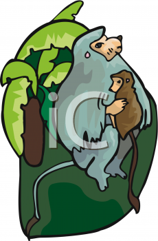 Monkey Clipart