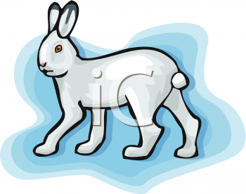 Rabbit Clipart