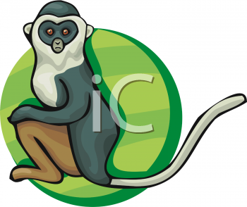 Monkey Clipart