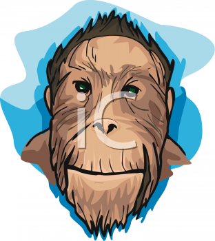 Monkey Clipart