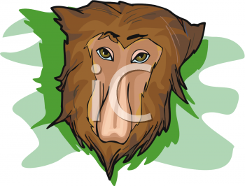 Monkey Clipart