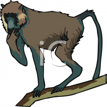 Monkey Clipart