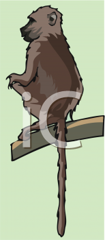 Monkey Clipart