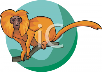 Monkey Clipart