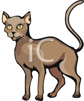 Pet Clipart