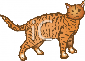 Pet Clipart