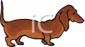 Pet Clipart