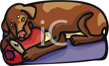 Pet Clipart