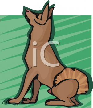 Pet Clipart