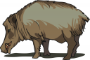 Pig Clipart