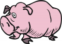 Pig Clipart