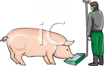 Pig Clipart