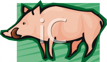 Pig Clipart