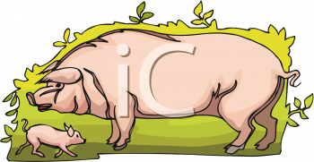 Pig Clipart